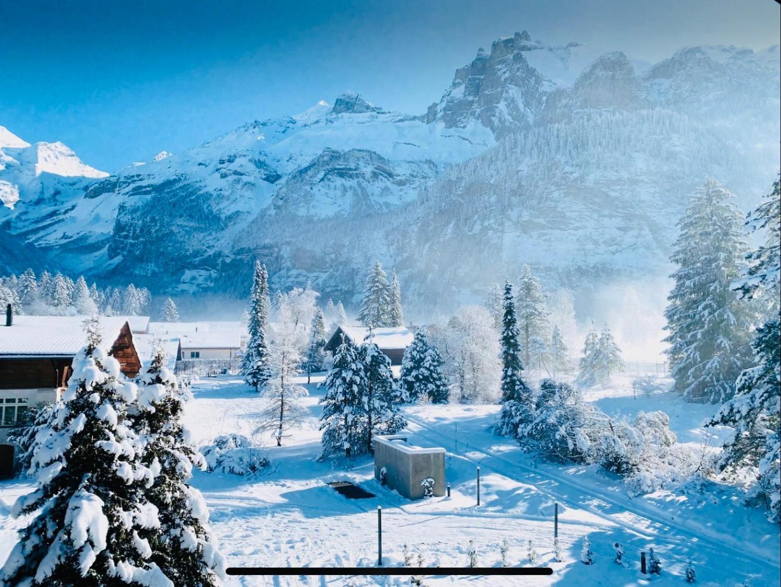 Cute & Cozy Oasis, Private Afternoon Sun Terrace Apartment Kandersteg Exterior foto